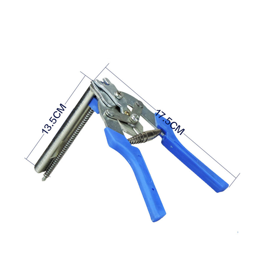 طيات حلقة الخنزير/600 قطعة مقا - مراجعة Power Tools You Must Have وسعره